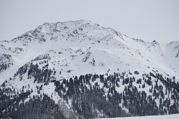 Gipfel in der Kelchsau vom Siedeljoch aus gesehen