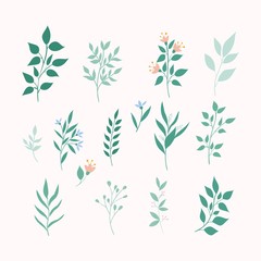 Vector leaves set. Botanical elements