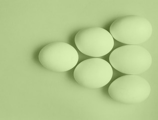 eggs on a colorful background. 