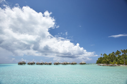 Overwater bungalows with palm tree at luxury resort