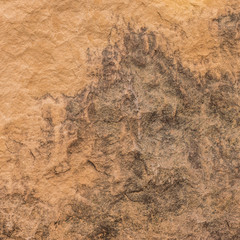 Texture and details of sand stone