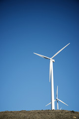 Fototapeta premium Renewable energy concept