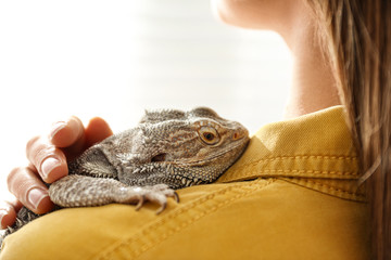Young woman with bearded lizard at home, closeup. Exotic pet