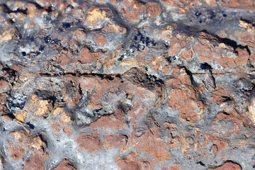 the structure of tree bark close up for background