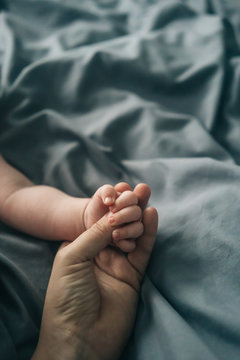 Close up of baby boy holding his mother's hand