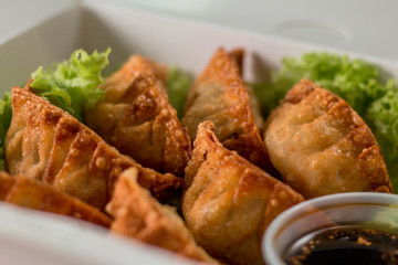 gyoza empanada comida deliciosa asiatica y lechuga  desde arriba con salsa de anguila