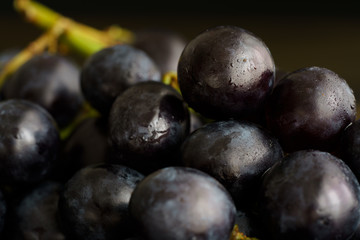 Macro shot of dark purple grape on wooden plate. High resolution