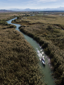 Boat in swamp