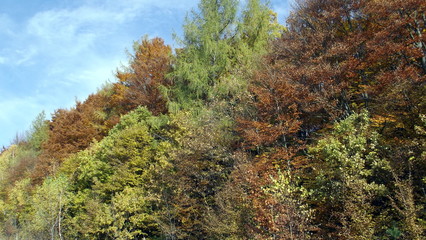 Beautiful nature in autumn