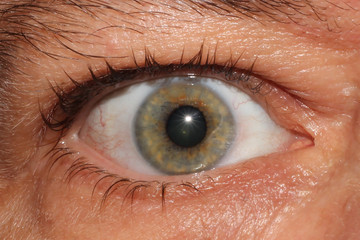 Fototapeta premium human eye