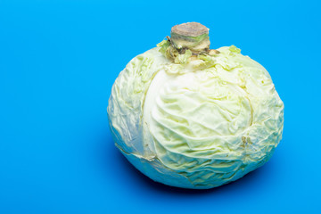 Cabbage, winter vegetable