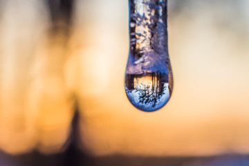 the surrounding nature is beautifully reflected in a drop of water on an icicle - obrazy, fototapety, plakaty