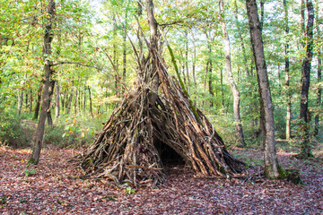 Teepee Shelter made of Branches in Green Forest at Fall © Angelina Cecchetto