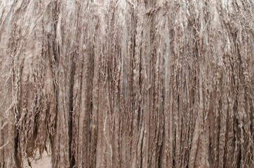 Alpaca's fur closeup