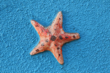 Wall facade painted in blue and decorated with starfish