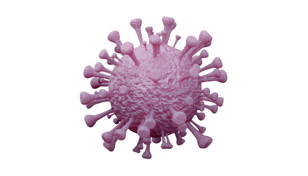coronavirus name covid 19 isolated on white background - 3d rendering