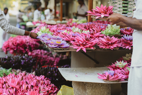 Trip to Sri Lanka