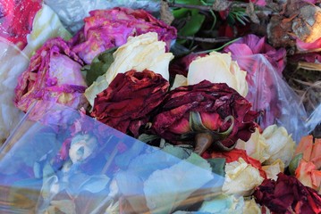 garbage from red and white dried roses in a bouquet in transparent cellophane