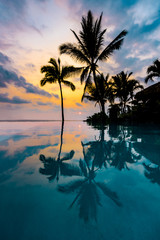 Scenic Tropical Island View with Colorful Sunset and Silhouette Palm Trees Reflection on Crystal...