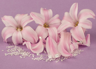 Hyacinthus - Giacinto con polline rosa con contorno di diamanti grezzi di varie dimensioni 