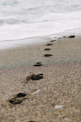 Fototapeta na wymiar footprints on the wet sand from the sea wave on the beach