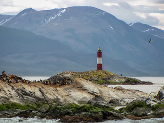 Fototapeta na wymiar Patagonia mountain landscape with lighthouse and wildlife on rock island at Tierra del Fuego aka the end of the world