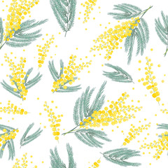 Seamless spring pattern with mimosa flower. Bright yellow flowers background. - obrazy, fototapety, plakaty