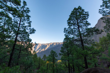 Scenic view on Caldera de Taburiente with green pine forest, ravines and rocky mountains near viewpoint Cumbrecita, La Palma, Canary islands, Spain