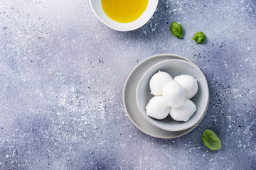 Italian cheese mozzarella