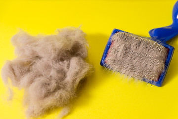 Comb for animal hair and gray wool on a yellow background. Animal hairbrush.