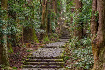 Sacred pilgrimage hiking trail Kumano Koda on Kii peninsula in Wakayama prefecture, Japan. Cobble...