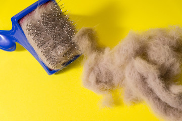 Comb for animal hair and gray wool on a yellow background. Animal hairbrush.