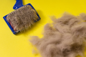 Comb for animal hair and gray wool on a yellow background. Animal hairbrush.