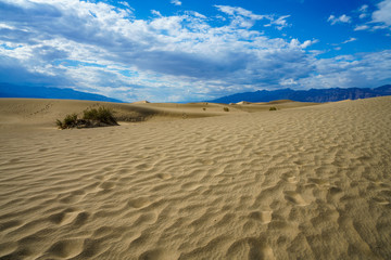 mesquite flat sand dunes in death valley, california, usa