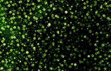  lucky shamrocks background 