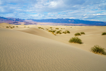 mesquite flat sand dunes in death valley, california, usa