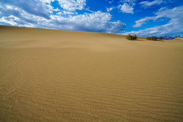 mesquite flat sand dunes in death valley, california, usa