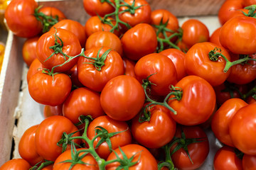 Beautiful red tomatoes on a branch in a drawer in a supermarket. Ripe fresh tomato for sale. Fresh Vegetables Department at Grocery Store