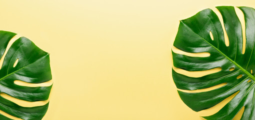Tropical leaf Monstera on yellow background. Top view. Flat lay. Horizontal banner