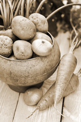 Still life of of vegetable Root crop