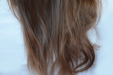 Fototapeta premium piece of brown hair on white isolated background healthy and shiny