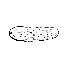 Hand drawn cucumber sketch. Ripe vegetable drawn in cartoon style. Imitation of ink drawing. Diet healthy food isolated on white background. Vector illustration. For menu, farmers market, grocery.