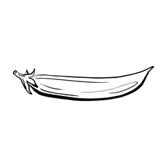 Hand drawn green peas sketch. Ripe pea pod isolated on white background. Healthy organic food drawn in cartoon style. Imitation of ink drawing. Black outline vector illustration. For menu, icon, print