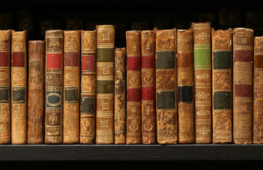 vintage books on wooden shelf.