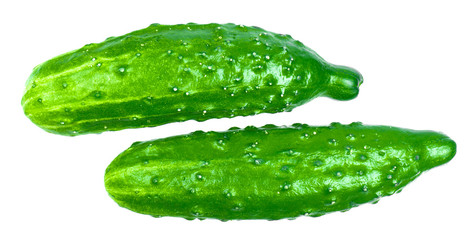 Green cucumbers on a white background isolate