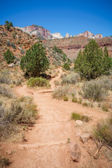 hiking the watchman trail in zion national park, usa