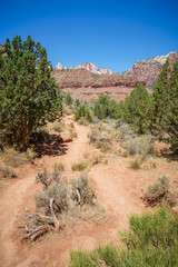 hiking the watchman trail in zion national park, usa