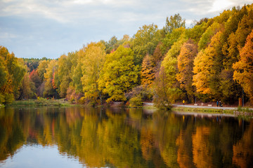 Autumn forest near the lake