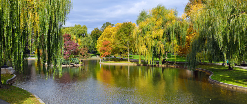 Panoramic view of Boston Public Garden lagoon in the fall