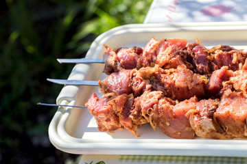Barbecue. Raw meat on a skewer.Cooking Shish kebab on the grill. Traditional picnic on weekends, holidays and sunny days, hard shadows.Relax in nature.